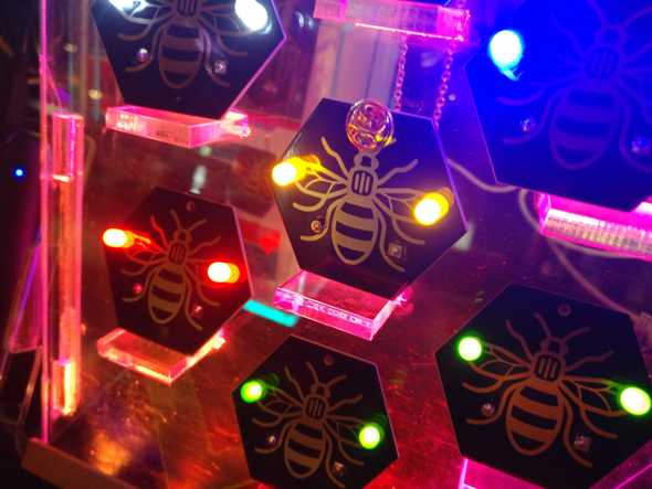 A snazzy edge-lit display for the bees I made